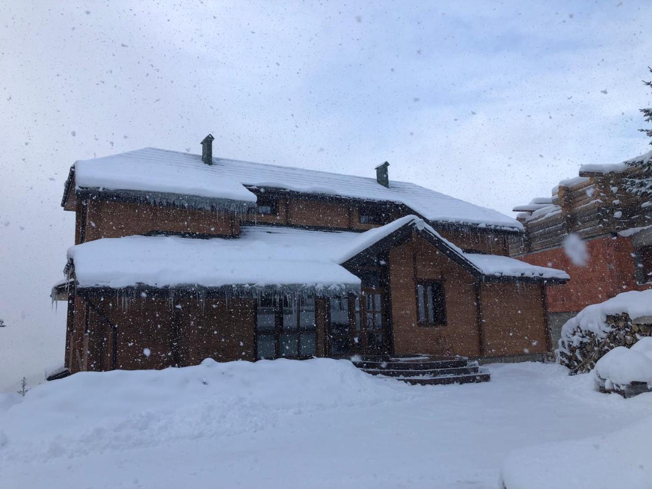 Golden Nest Apartment Yablunytsya Exterior photo